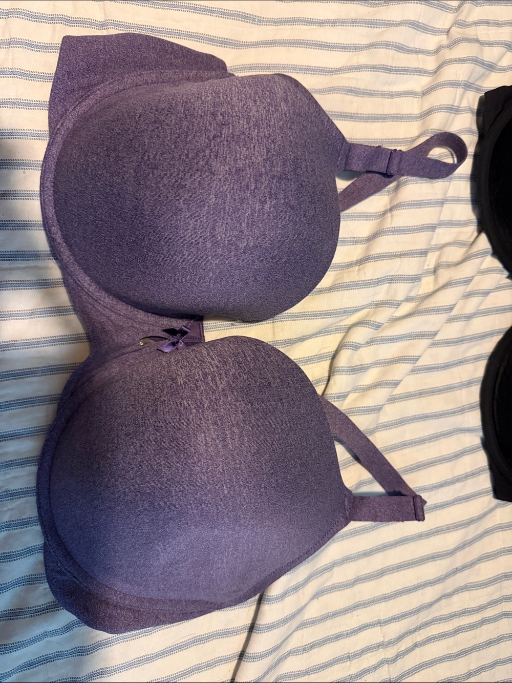 torrid Purple Molded T-Shirt Bra
